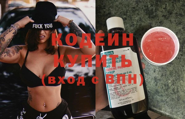 крисы Галич