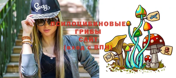 крисы Галич