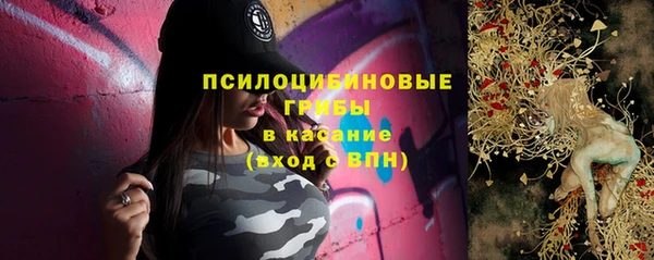 молекула духа Осинники