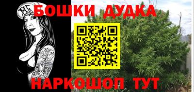 шишки Тулун