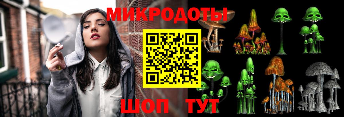 Псилоцибиновые грибы Cubensis  где продают   Усть-Илимск  Вход с VPN 